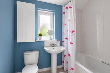 5 bed house, Dogfield Street, Cathays, Cardiff, CF244QL - Image 5